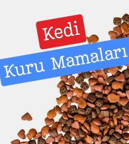 Kedi Kuru Mamaları