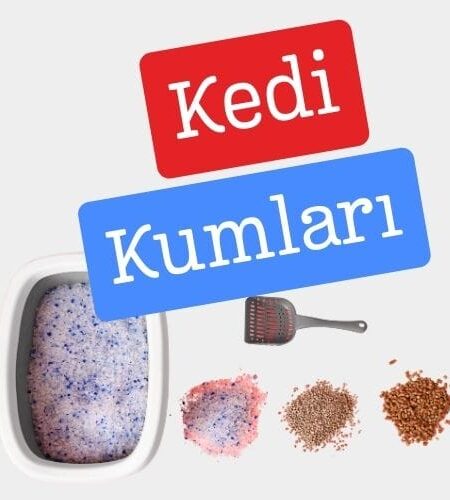Kedi Kumları